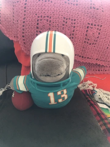 MIAMI DOLPHINS 1983 NFL HUDDLES STUFFED DOLPHIN Cover
