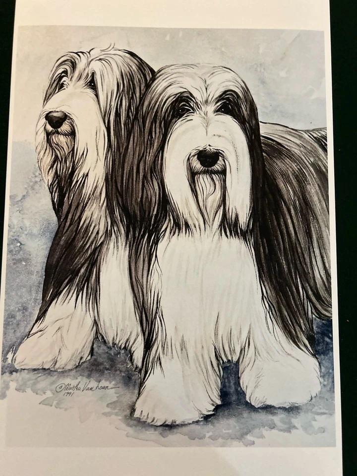 Принт бородатого колли от Martha Van Loan 11x14 - Изображение 1 из 1