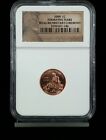 2009-P 1C LINCOLN CENT "FIRST DAY CEREMONY" NGC MS66 RD FORMATIVE YEARS #0498