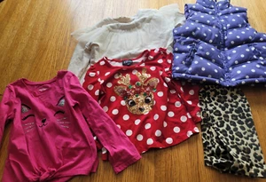Mixed Lot Girls Fall Winter Size 4 Clothes Long Sleeve Shirts Zip Puff Vest Pant - Picture 1 of 7