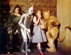 Wizard Of Oz Cast Waiting To See The Wizard   11x17 Photo