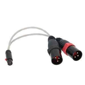 Mini XLR 5pin TA5F to Dual Large XLR Male 3Pin 8” L-2B2AT Microphone Audio Cable