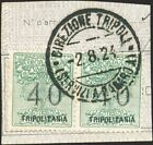 Tripolitania 1924 Segnatasse vaglia 40 c. verde coppia su frammento soprast., n°
