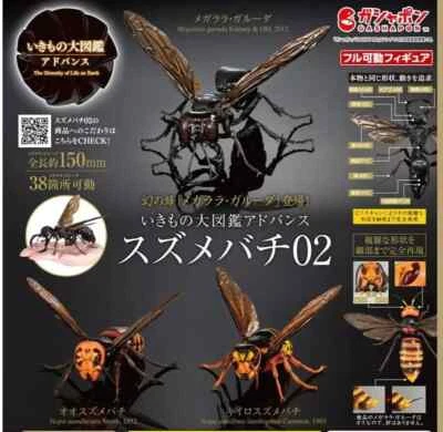 The Diversity of Life on Earth Advance Wasp Hornet 02 Figure Bandai Capsule Toy - Image 1 of 4