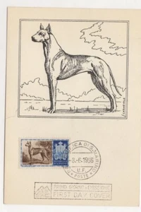 Postal History San Marino 1956 Maximum Dogs 10 Lira - Picture 1 of 1