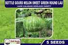 Bottle Gourd Melon Sweet Green Round Lau Lauki Calabash Heirloom Variety 5 Seeds