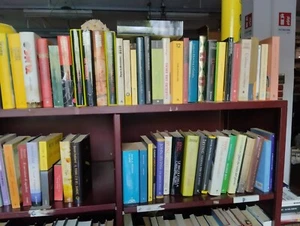 LOTTO 100 LIBRI -COPERTINA RIGIDA CARTONATA - EURO  0,50 L' UNO  NARR. STRANIERA - Foto 1 di 16