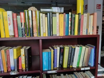 LOTTO 100 LIBRI -COPERTINA RIGIDA CARTONATA - EURO  0,50 L' UNO  NARR. STRANIERA - Immagine 1 di 4