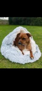 Grey - Cosy Calming Anxiety Pet Bed Plush Warming Suitable for Dogs, Cats, Puppy - Picture 1 of 4