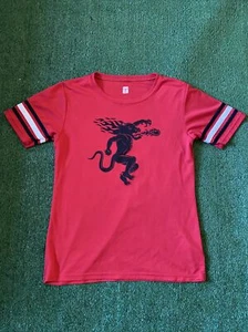 Red Teamwork Fireball T Shirt Jersey #66 Size Medium Rare - Picture 1 of 3