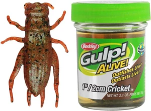 Gulp Alive Cricket Fishing Bait - Picture 1 of 15