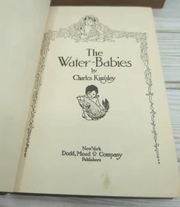 The Water Babies Charles Kingsley Illustrated Jesse Wilcox Smith 1910 Hardcover - Bild 1 von 16