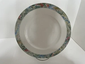 Mikasa Renoir Aquarell Rand Teller Sammlung Speiseteller 2er Set - Bild 1 von 8
