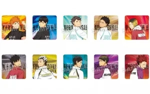 Juego de 10 bloques comerciales giratorios de 8 mm de espesor de paneles de soporte acrílico Haikyu - Imagen 1 de 1