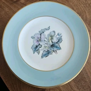 6 x Royal Worcester Bone China Beilagenteller Woodland 1. Qualität Design.6" 150 mm - Bild 1 von 5