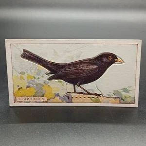1920s Ogden's Birds Press-Outs BLACKBIRD Antique Tobacco Cigarette Card - Picture 1 of 2