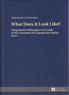 What does it look like? Wittgenstein's Philosophy in the Light of His Conception