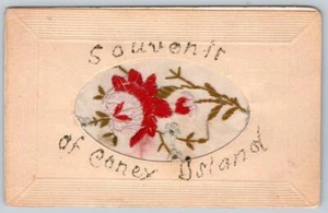 ANTIGUA POSTAL RECUERDO SEDA BORDADA DE LA ISLA DE CONEY NUEVA YORK DE 1910 - Imagen 1 de 2