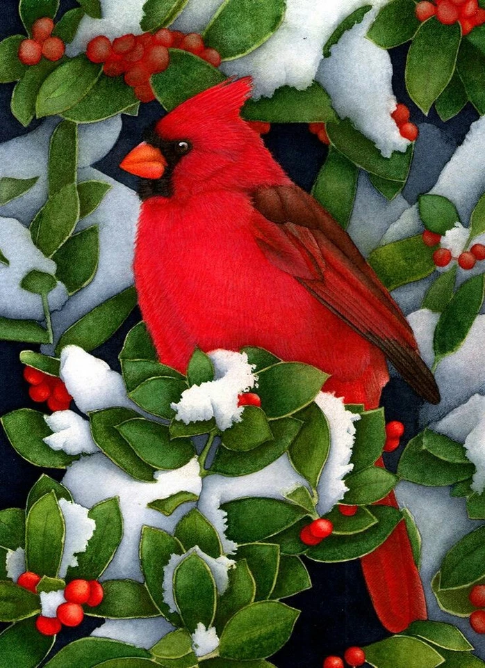 NEEDLEPOINT'S Canvas 14 or 18 count_  cardinal, red bird - Image 1 of 1