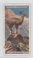 1924 Player's Natural History Tobacco Klipspringer Antelope #3 1m8