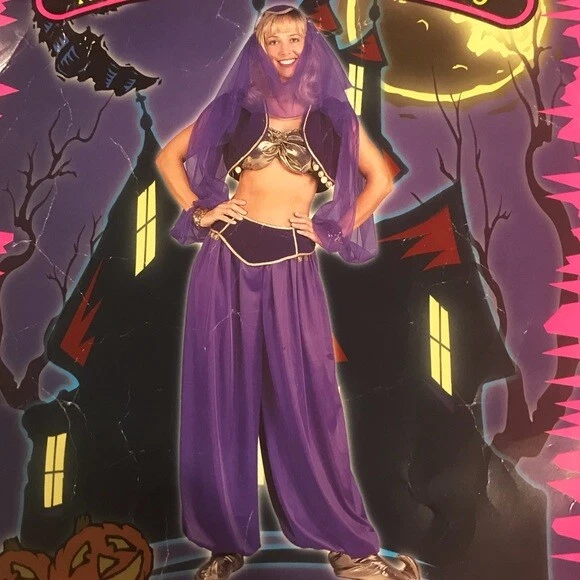 Arabian Princess Costume 5Pc Purple Harem Pants Top Vest Belt & Headpiece LG - Image 1 of 1