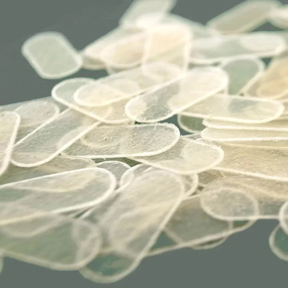 5x Cello Bridge Parchments Leather Protector Clip String Stop Gut - Image 1 of 1