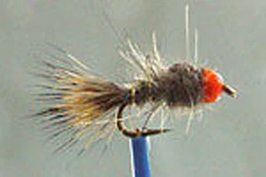 10 x Mouche LOT Nymphe Lievre BILLE ORANGE H10/12/14/16/18/20 nymph hare fly - Imagen 1 de 1