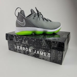 lebron james 14 low