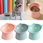 25° Tilted Elevated Pet Bowl Cat Dog Feeder Puppy Kitten Food Water Stand Bowl