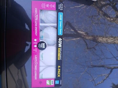 Feit ELECTRIC 40-Watt Bath & vanity bulbs 120v 40G25/RP (6 Bulbs  Total) Clear - Image 1 of 4