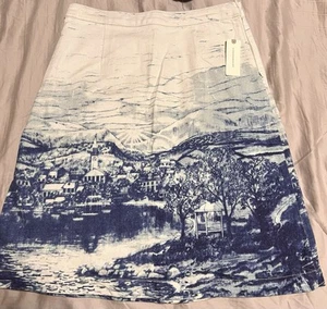 Anthropologie Skirt - Picture 1 of 4