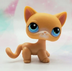 Littlest Pet Shop Authentic # 71 Orange White Short Hair Cat Blue Eyes - Picture 1 of 4