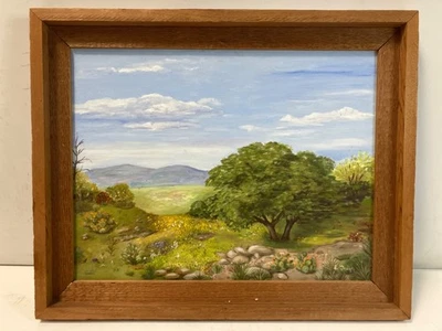 Pintura al óleo sobre lienzo de Texas "Hill Country in Spring" de Lillian Gough Foto 1 de 4