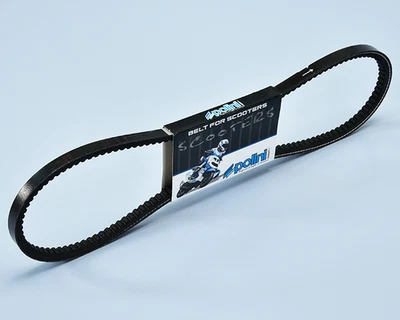 Cinghia per Piaggio CIAO 50 con variatore POLINI 248.113 - Immagine 1 di 4