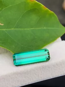 Tourmaline Bi- Colour 3.40 CT - Picture 1 of 8