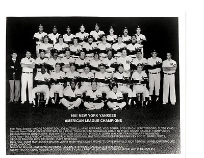 1981 NEW YORK YANKEES 8X10 TEAM PHOTO GUIDRY MURCER MLB BASEBALL HOF USA