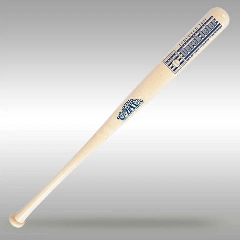 Derek Jeter Baseball Hall of Fame Silver Player Series Full Size Bat Cover