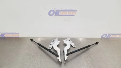 20 GMC SIERRA 1500 HOOD HINGE 套装一对白色 — 第 1/4 张图片