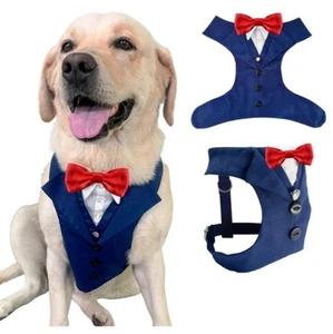 Averyday Dog Tuxedo Formal Wear Dog Costumes with Bowtie Size L - Picture 1 of 6
