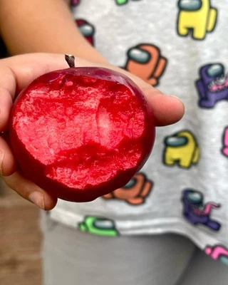 Redlove Calypso Grafted Apple Trees - Image 1 of 4