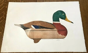 MALLARD DRAKE DECOY Duck Aquatint Etching ARTHUR NEVIN Signed & Numbered NOS - Picture 1 of 10