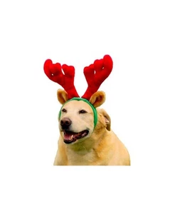 Holiday Antlers for Dogs  - Small or Large - fun way to dress your pet up photo - Picture 1 of 3