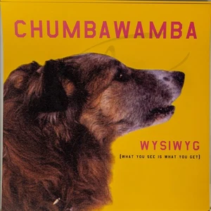 CHUMBAWAMBA WYSIWYG Album Cover Promo 12x12 Flat Double Sided Poster - Picture 1 of 3