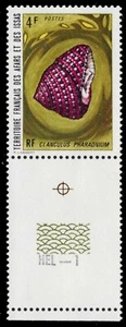 AFARS et ISSAS 358 - Cáscara superior de fresa "Clanculus pharadnium" (pb53047) - Imagen 1 de 1