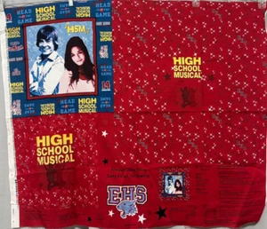 High School Musical No Sew Pillow Pane Troy & Gabriella Cotton Fabric Easy - Picture 1 of 7