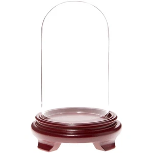 Plymor 4" x 7" Glass Display Dome Cloche (Red Wood Veneer Footed Base) - Picture 1 of 1