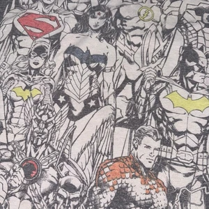 Camisa DC Comics Liga de la Justicia Para Hombres XL Gris Estampado Completo Camiseta Gráfica Seis Banderas - Imagen 1 de 6
