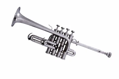 VENDITA ESTIVA!! NUOVA TROMBA ARGENTO BB/A PICCOLO + CUSTODIA OMAGGIO IN OTTO... - Immagine 1 di 4