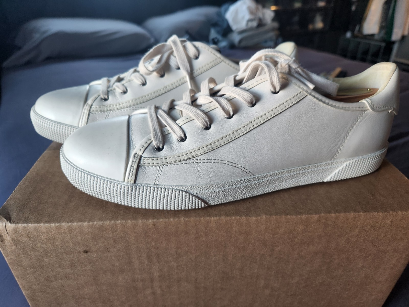 c136 low top sneaker