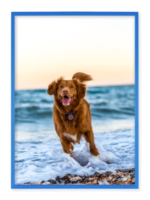 Alurahmen Plakatrahmen Bilderrahmen 70x100cm 100x70cm  Puzzle-Rahmen - Bild 1 von 4